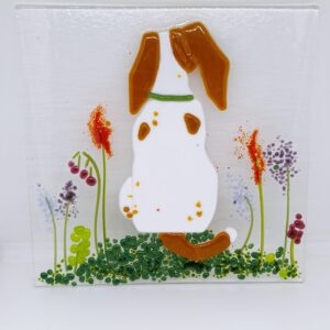 Dougal the Beagle