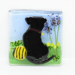 Black Labrador 3