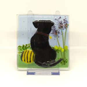 Black Labrador 2